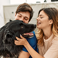 NOAH endorses report to support pets in rented accommodation