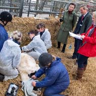 HRH The Princess Royal visits equine healthcare clinic