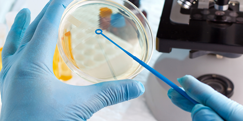 Cat bacteria treats skin infection, study finds