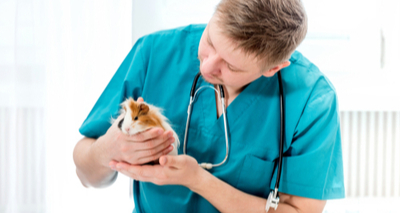 Engaging clients in One Welfare