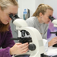 Applications open for new BSAVA Research Fellowship
