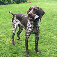 First 2022 Alabama Rot deaths confirmed
