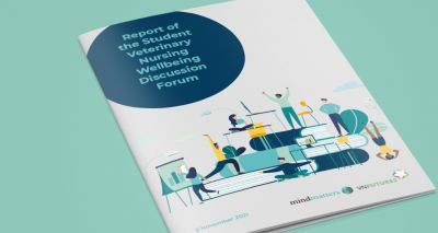 Report highlights wellbeing concerns of student VNs