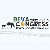 BEVA Congress tickets to go on sale 