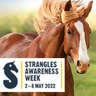 Vets urged to get involved with Strangles Awareness Week