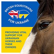 Donations flood in for Ukraine equine appeal