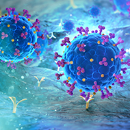 SARS-Cov-2 variants can infect wider range of animal cells, study finds
