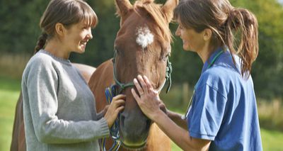 Views sought on equine identification system