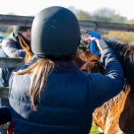 Horse charity welcomes equine ID consultation