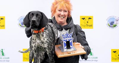 Holyrood Dog of the Year crowned