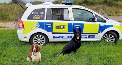 Charity helps retired police dog to afford emergency treatment