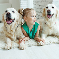 Dogs may protect children against Crohn's disease - study