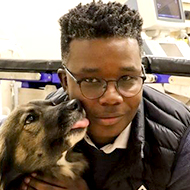 Cape Town clinic launches programme for more pet sterilisations