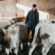 SRUC launches new rural animal health course