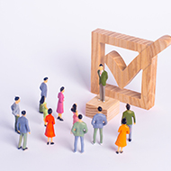 RCVS Fellowship Board elections open