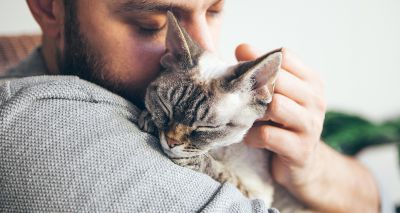 Cats Protection highlights bereavement support