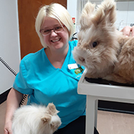 Rabbit-friendly vet awards return for 2022