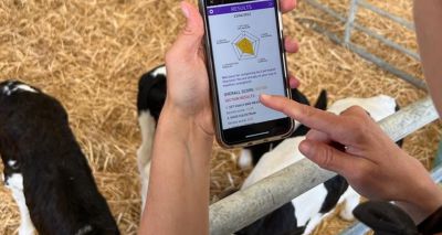 MSD launches calf health checklist app