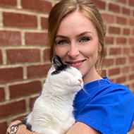 Vita Animal Health announces feline webinar series 