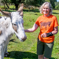 Donkeys benefit from Welsh government funding