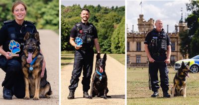 Police dog awards celebrate canine heroes