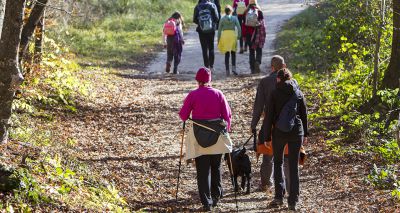 Nature lovers urged to join 'Big Wild Walk'
