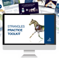 New strangles resources for veterinary practices