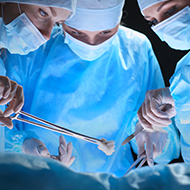 RCVS to form public advisory group