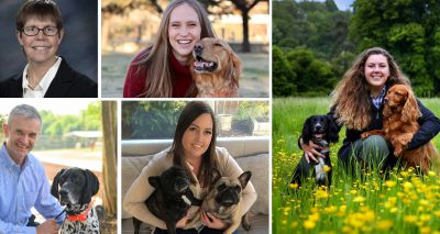 International Canine Health Awards announces winners