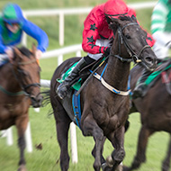 Common racehorse drug could raise risk of sudden death