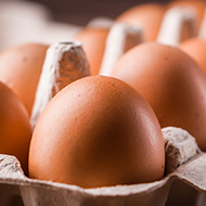 Annual EggTrack report highlights global progress