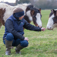 World Horse Welfare receives funding boost
