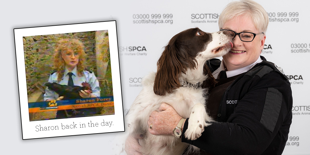 Scottish SPCA member celebrates 50 years with the organisation
