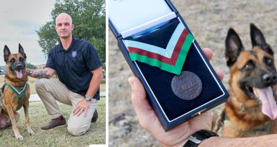 Dickin Medal awarded to US Marine Corps dog