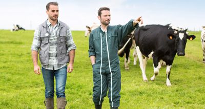 Health and welfare reviews rolled out for livestock farms