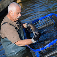 Funding for new training courses in seafood sector