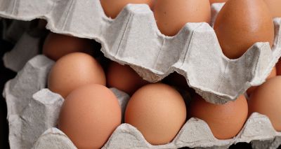Defra announces new barn egg labelling concession