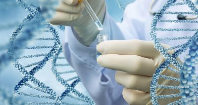 DNA testing to be offered by The Kennel Club at Crufts 