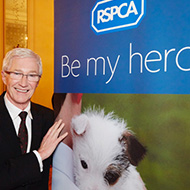 Animal charities pay tribute to Paul O'Grady