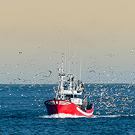 Defra announces sites of Highly Protected Marine Areas