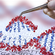 New gene-editing law opens a Pandora's box, warns RSPCA