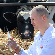 NOAH releases Livestock Vaccination Guideline