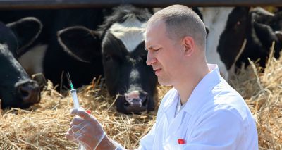 NOAH releases Livestock Vaccination Guideline