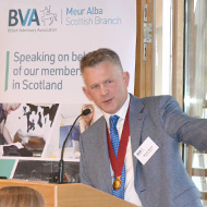 Calls for Scottish politicians to support veterinary education