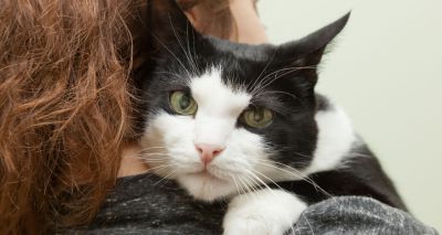 Missing cat found at animal rescue conference