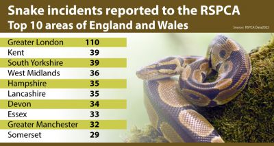 Heatwave triggers snake escape alert