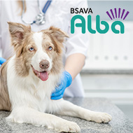 Tickets on sale for BSAVA Alba 2023