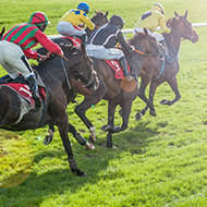 New project to explore ways to improve racehorse safety