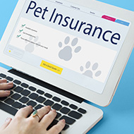 Pet insurance payouts topped £1 billion in 2022