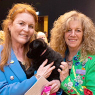 Retired service animal charity reveals royal patron